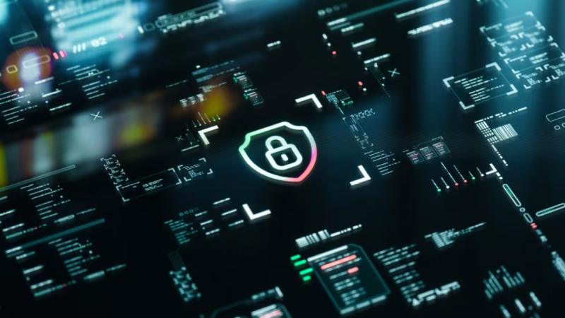 金牛区网站建设